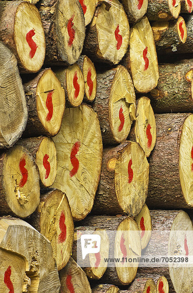 Stacked and labeled logs  Kufstein  Tyrol  Austria  Europe