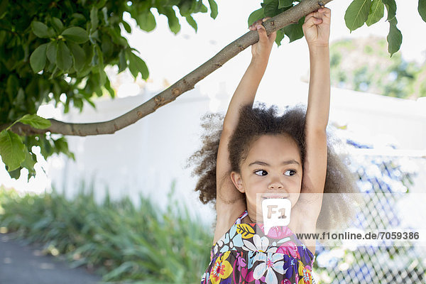 Mixed race girl hanging from branch