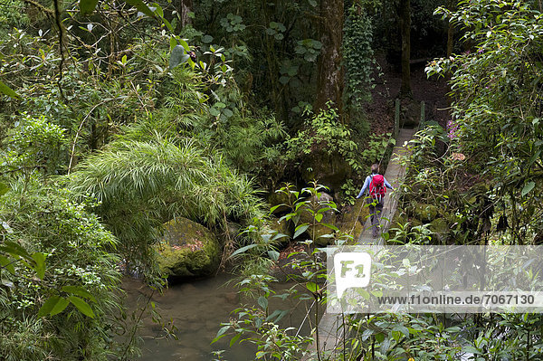 Hiker crossing a suspension bridge  San Gerardo de Dota  Province of San Jose  Costa Rica  Central America
