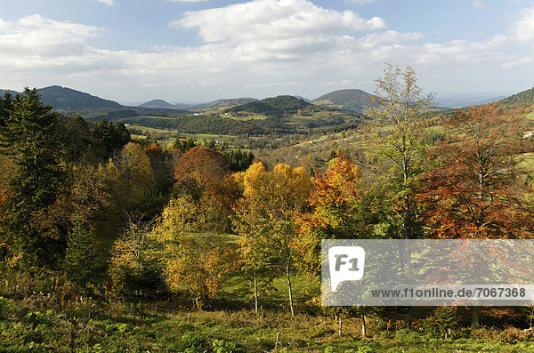 Herbstlandschaft in Meygal  Monedeyres  Haute Loire  Auvergne  Frankreich  Europa
