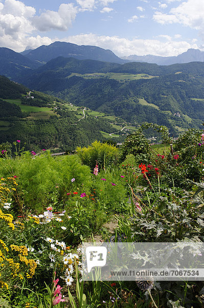 Vom Kräutergarten des Oberpalwitterhof Kreitla bei Barbian  auf das Eisacktal  Südtirol  Alto Adige  Italien  Europa