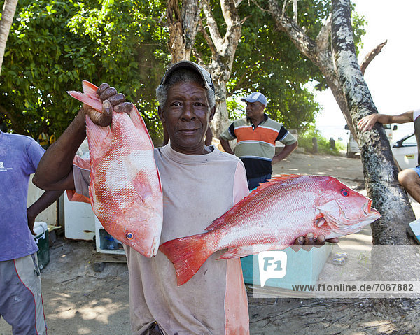 Fishmonger  fish market at the Anse Royale  Mahe  Seychelles  Africa  Indian Ocean