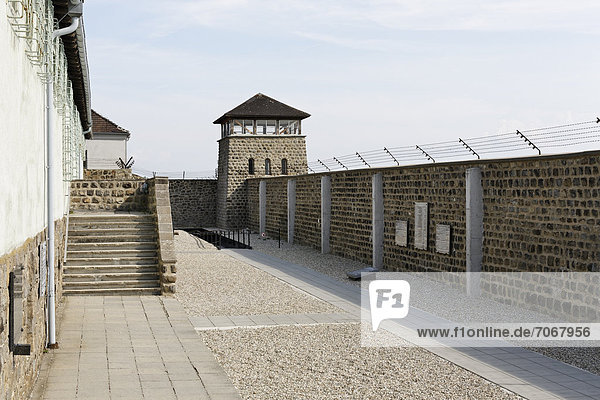 Wall with barbed wire  memorial of the former Mauthausen Concentration Camp  Muehlviertel region  Upper Austria  Austria  Europe