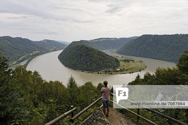 Aussichtspunkt über Donau in Schlögener Schlinge  Gemeinde Haibach ob der Donau  Hausruckviertel  Oberösterreich  Österreich  Europa
