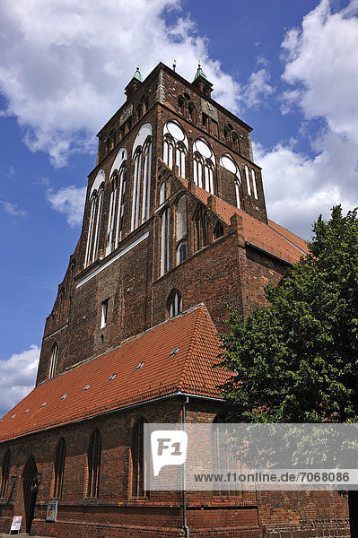 Turm der St. Marienkirche  eine der bedeutendsten Hallenkirchen der norddeutschen Backsteingotik  um 1335 vollendet  Brüggstr. 35  Greifswald  Mecklenburg-Vorpommern  Deutschland  Europa