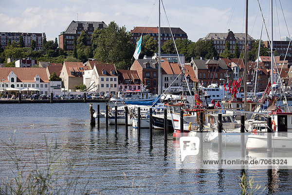 Yachthafen an der Schlei bei Flensburg  Schleswig-Holstein  Deutschland  Europa