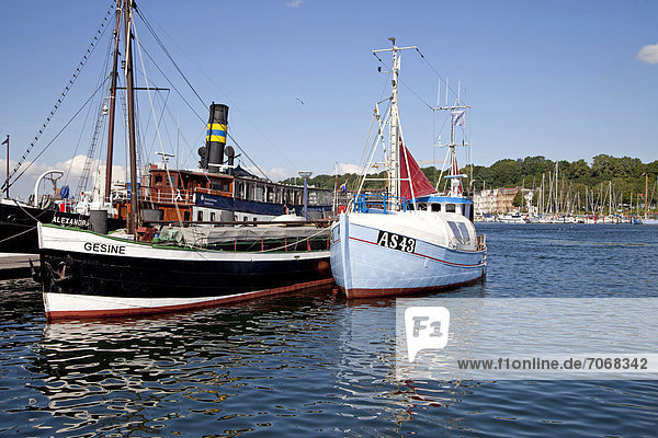 Motor-Frachtschiff Gesine im Historischen Hafen Flensburg  Schleswig-Holstein  Deutschland  Europa