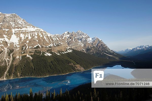 See  Peyto Lake  Alberta  Banff  Kanada