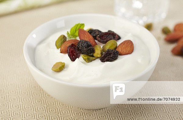 Bowl of Greek Yogurt with Dried Fruit and