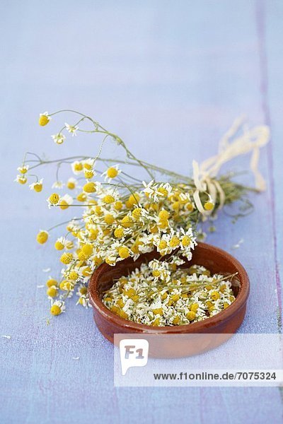 Dried chamomile flowers