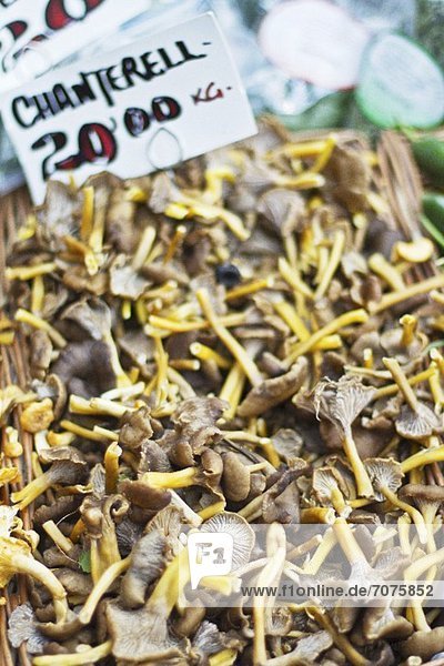 Fresh chanterelle mushrooms at a market