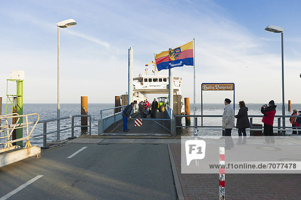 Pier  holm ferry  small island of Langeness  North Frisia  Schleswig-Holstein  northern Germany  Germany  Europe