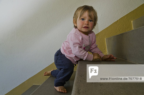 Mädchen  ein Jahr  beim Krabbeln auf der Treppe  Dresden  Sachsen  Deutschland  Europa