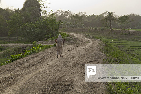 Old woman with a walking stick walking along a dirt road in the evening light  Magura  Khulna District  Bangladesh  South Asia  Asia