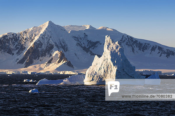 Eisberge vor Adelaide Island  Antarktische Halbinsel  Antarktis