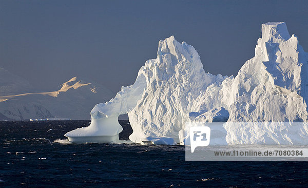 Iceberg  Antarctic Peninsula  Antarctica