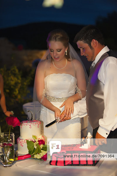 USA  Texas  Bride and groom cutting cake