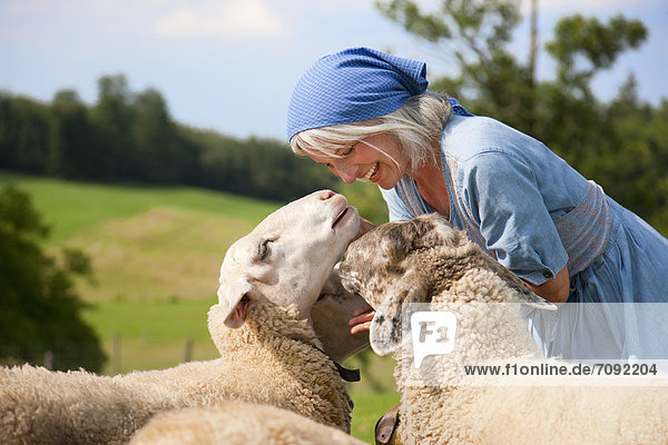 Reife Frau spielt mit Schafen auf dem Bauernhof