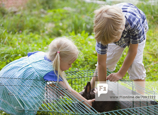 Junge und Mädchen streicheln Kaninchen im Garten