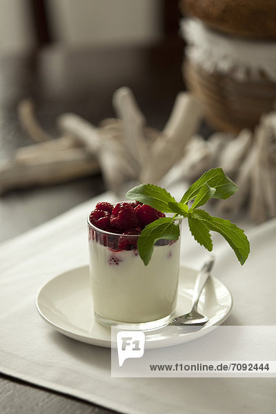Glass of cream with raspberry and stevia  close up