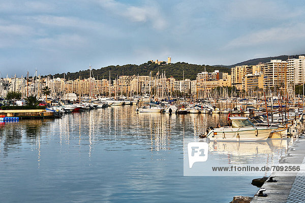 Spain  Palma  Mallorca  Boats moored at harbour