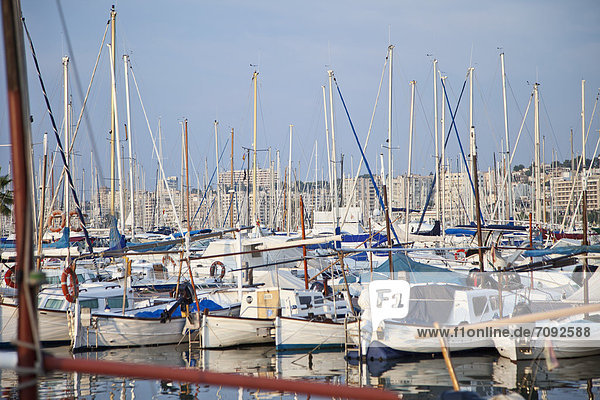 Spain  Palma  Mallorca  Boats moored at harbour