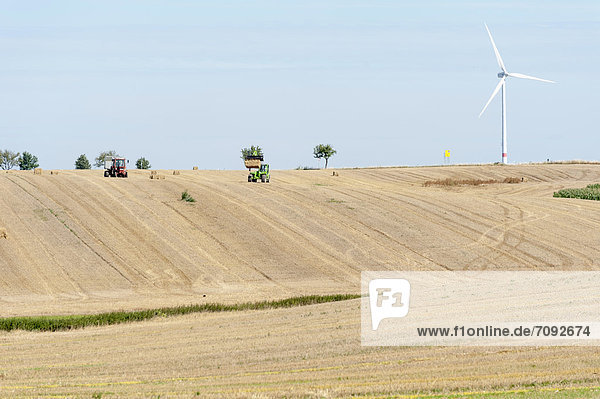 Deutschland  Sachsen  Blick auf das Windrad im Maisfeld