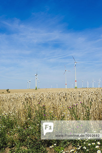 Deutschland  Sachsen  Blick auf Windkraftanlage im Windpark