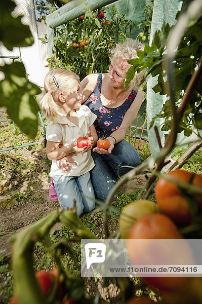 Deutschland  Bayern  Großmutter und Enkelin im Gemüsegarten