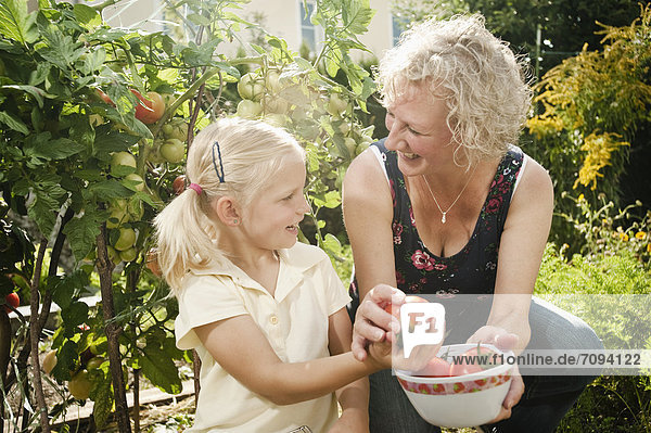 Germany  Bavaria  Grandmother and granddaughter working in vegetable garden