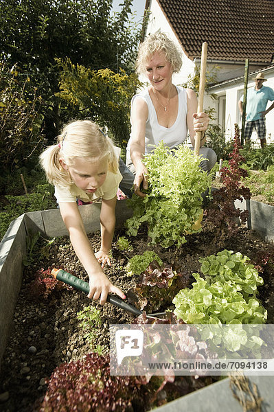 Deutschland  Bayern  Großmutter mit Kindern bei der Arbeit im Gemüsegarten