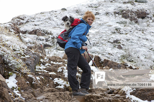 Woman carrying her dog in a backpack while climbing Wildseeloder Mountain  Fieberbrunn  Tyrol  Austria  Europe
