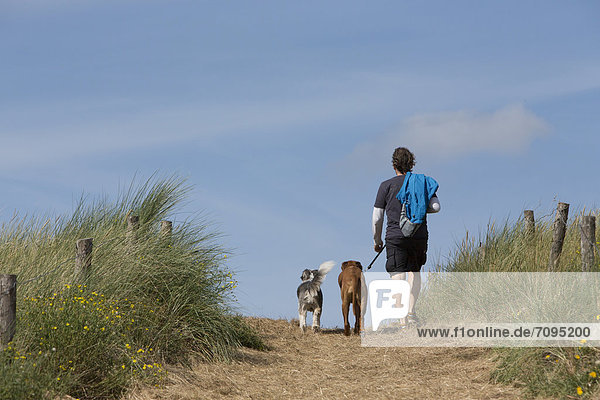 Dog owner walking with his two dogs over a dune on Langeoog Island  Lower Saxony  Germany  Europe