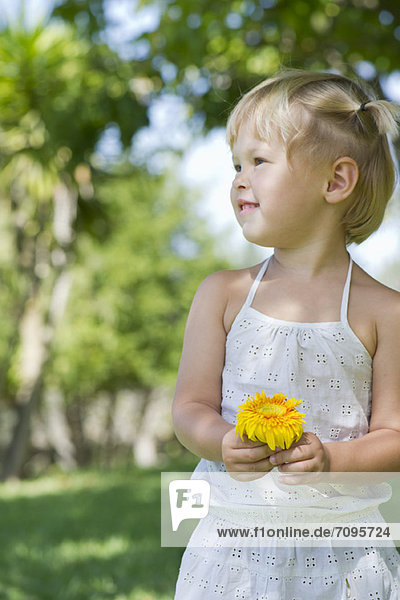 Little girl holding flower outdoors
