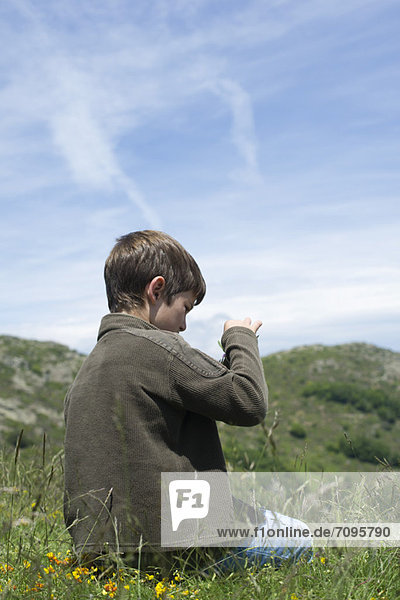 Boy sitting on grass  looking at wildflower  rear view