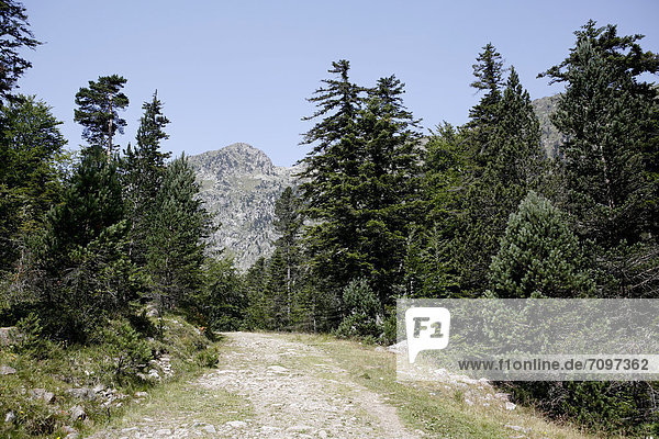 Wanderweg Landschaft in den Pyrenäen französische Pyrenäen Nationalpark bei ArgelËs-Gazost Region Midi-PyrÈnÈes DÈpartement Hautes-PyrÈnÈes Frankreich Europa