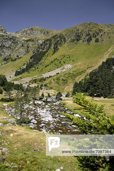 Wildbach,  Landschaft in den Pyrenäen,  französische Pyrenäen,  Nationalpark bei ArgelËs-Gazost,  Region Midi-PyrÈnÈes,  DÈpartement Hautes-PyrÈnÈes,  Frankreich,  Europa