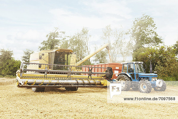 Traktor bei der Getreideernte im Ackerbau