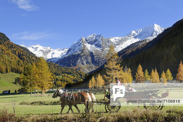 Kutsche im Naturpark Rieserferner Ahrn  Südtirol  Italien