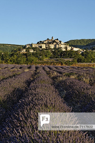 Frankreich Europa Berg Dorf Feld Banon Forcalquier Lavendel