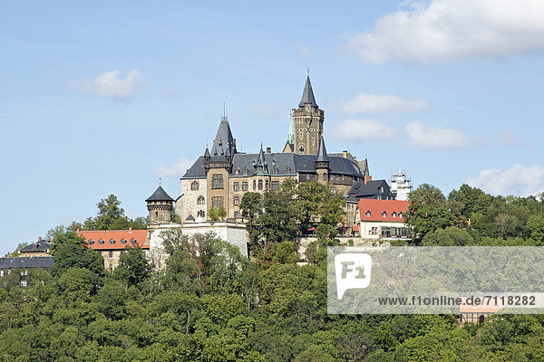Schloss  Wernigerode  Sachsen-Anhalt  Deutschland  Europa