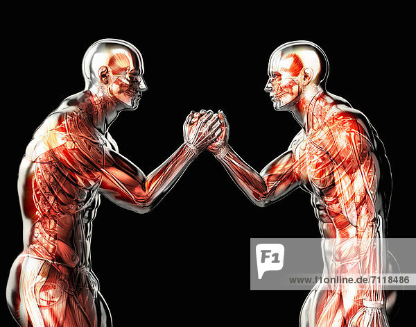 Männliche anatomische Modelle beim Armdrücken vor schwarzem Hintergrund