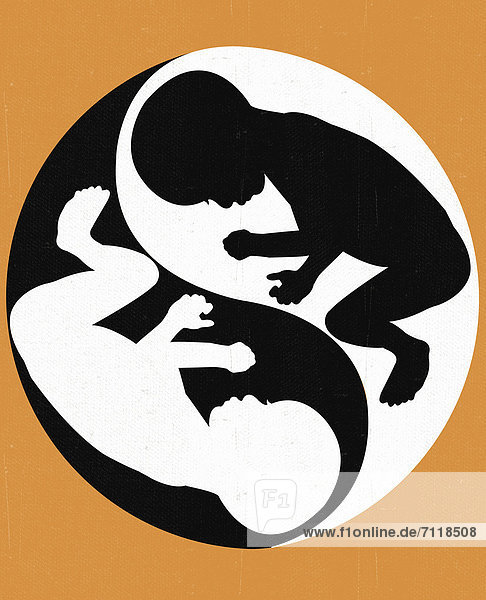 Twin fetus in yin-yang symbol