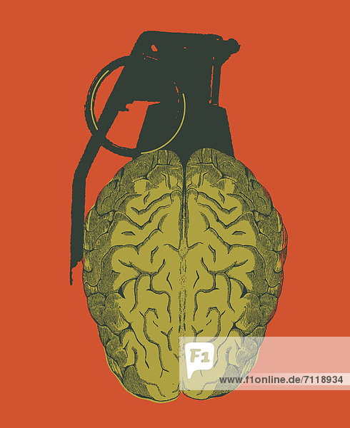 Gehirn-Granate vor rotem Hintergrund