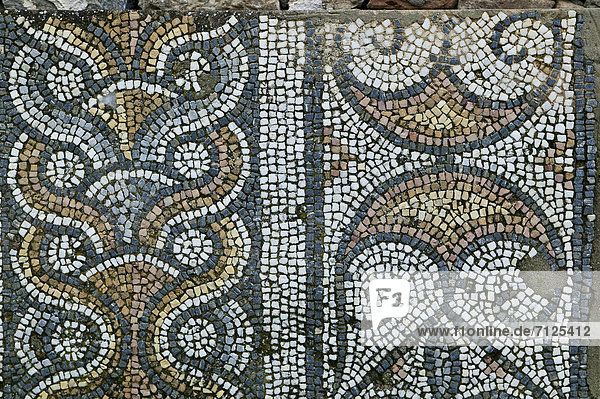 Aphrodisias  Aphrodite  excavation  floor covering  floor  history  mosaic  pattern  ornament  province Aydin  ruins  ruins  Turkey  old  antique  antique town  city  visit  historical