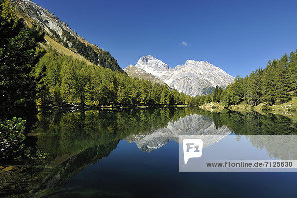 Lai da Palpuogna  Spieglung  mountain lake  Piz Ela  Albulapass  lake  canton  Switzerland  Europe  Graubünden  Grisons