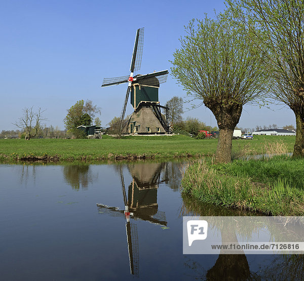 Netherlands  Holland  Europe  Kockengen  windmill  water  trees  spring  pollard  willow  Smock windmill  Smock