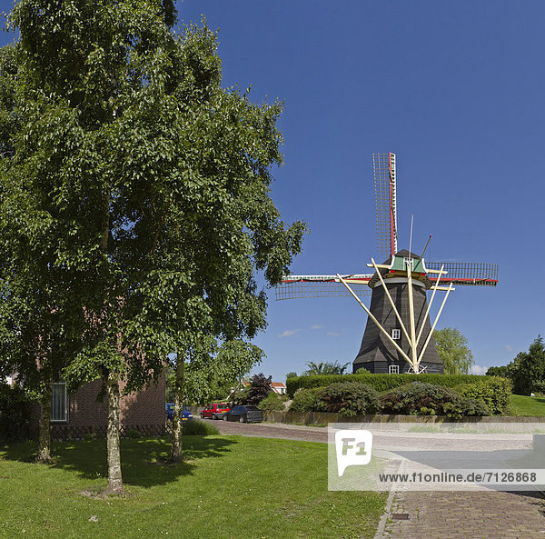 Netherlands  Holland  Europe  Arnemuiden  windmill  field  meadow  trees  summer  Windmill  Nooit Gedacht