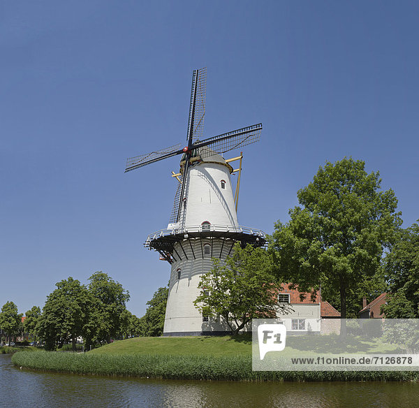 Netherlands  Holland  Europe  Middelburg  windmill  water  trees  summer  Tower mill  Hope