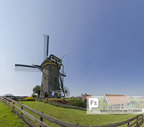 Netherlands  Holland  Europe  Rijpwetering  windmill  field  meadow  summer  Lijker-windmill